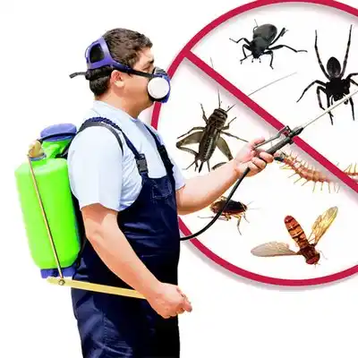 pest control Montgomery City